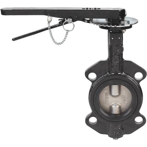 Robinets &agrave; papillon - s&eacute;rie BFV, Tuyau de 4", 225 PSI Cintas