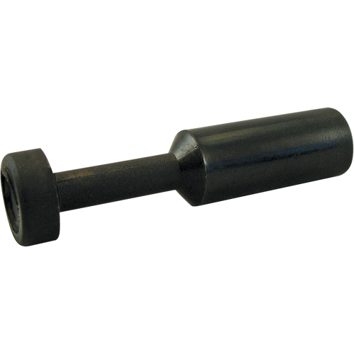 P.t.c. Plug Cintas