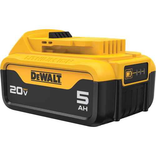 Bloc-piles Max XR Premium, Lithium-ion, 20 V, 5 A Cintas