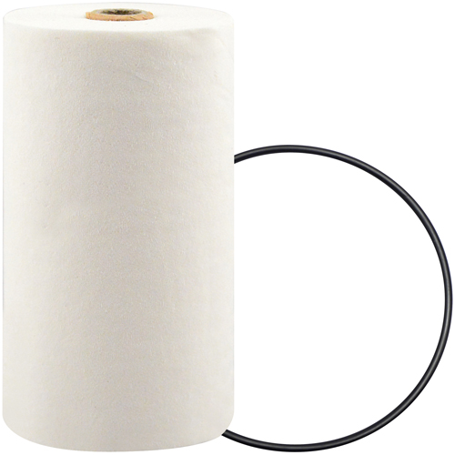 P7247 Spin-On Coolant Filter with BTE Formula Cintas