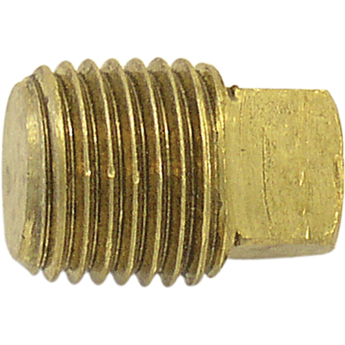 Bouchon de tuyau (t&ecirc;te carr&eacute;e), 1/8" dia., Laiton Cintas