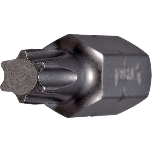Embout, Torx, 40, Prise 1/4" Cintas