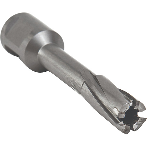 Core Cut Annular Cutter with Weldon Shank, 12 mm Diameter, Carbide, 55 mm Depth of Cut, 3/4" Shank Cintas