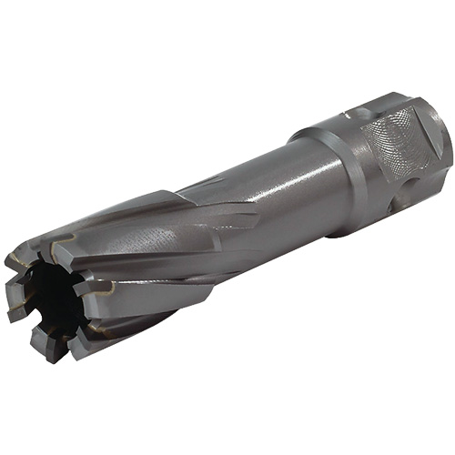 Universal Shank Annular Cutter, 1/2" Diameter, Carbide, 1" Depth of Cut, 3/4" Shank Cintas