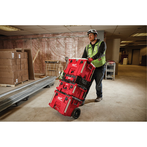 Packout XL Cooler Cintas