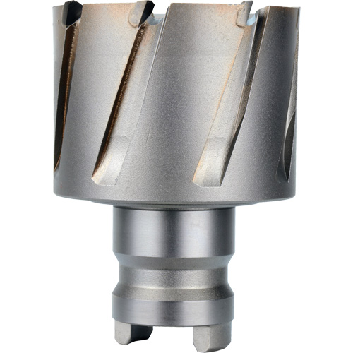 Quick Change Tang Drive Hawg&reg; Cutter, 2" Diameter, Steel, 1" Depth of Cut Cintas