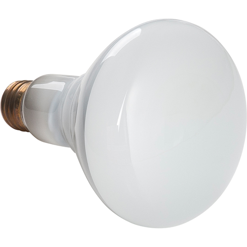 Economy Line Incandescent Lamps Cintas