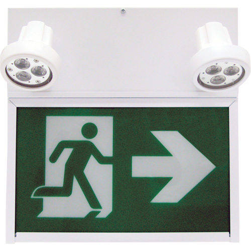 Enseigne de sortie coureur, DEL, &agrave; piles/&agrave; raccordement fixe, 12" lo x 12 1/2" la, Pictogramme Cintas