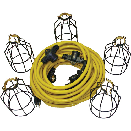 Guirlande &eacute;lectrique &agrave; DEL avec connecteur, 5 Lumi&egrave;res, 50' lo, Boîtier en M&eacute;tal Cintas