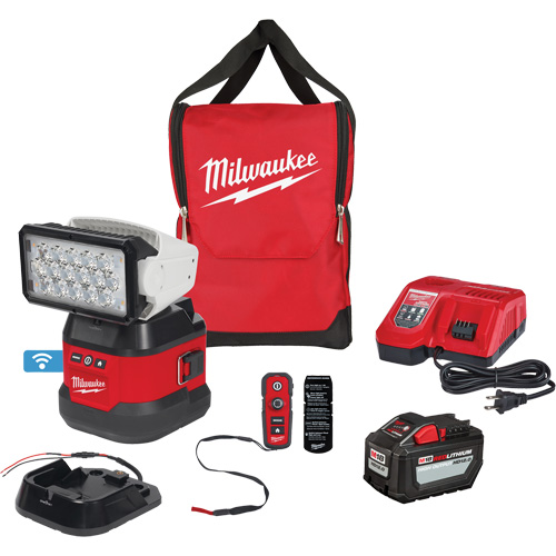Ensemble d'&eacute;clairage orientable polyvalent &agrave; t&eacute;l&eacute;commande, DEL, 4250 lumens Cintas