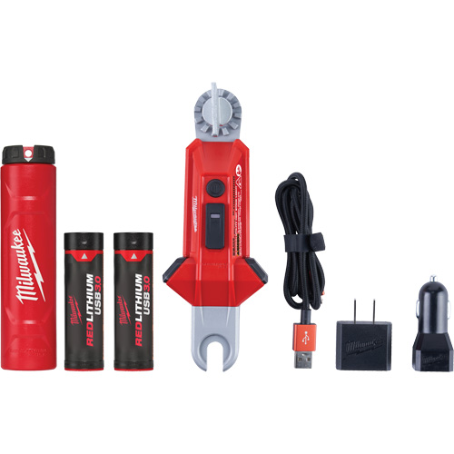 Lampe USB polyvalente REDLITHIUM pour perche isolante, DEL, Piles Rechargeable, Aluminium Cintas