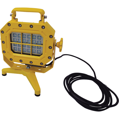 Explosion Proof Floodlight with Stand, LED, 40 W, 5600 Lumens, Aluminum Housing Cintas