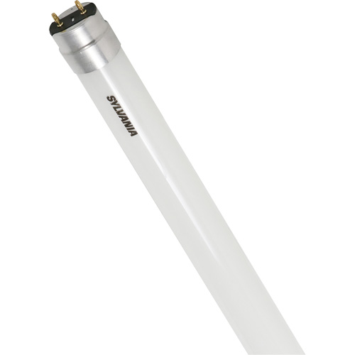 Ampoule DEL en verre givr&eacute; SubstiTUBE, 12 W, T8, 5000 K, 48" l Cintas