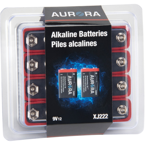 Piles alcalines industrielles, 9 V Cintas