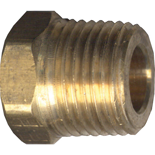 Hex Head Cored Plug, Pipe, 1/2" Dia., Brass Cintas
