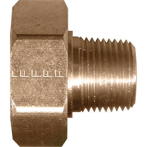 Swivel Connector, 1/2" Dia, Brass Cintas