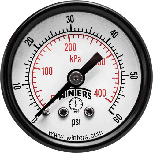 Economy Pressure Gauge, 1-1/2" , 0 - 60 psi, Back Mount, Analogue Cintas