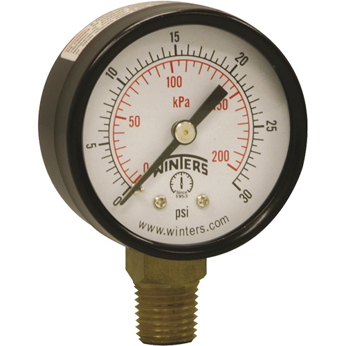 Economy Pressure Gauge, 2" , 0 - 30 psi, Bottom Mount, Analogue Cintas