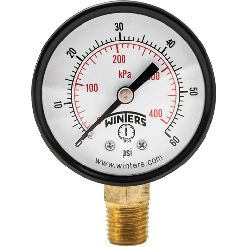 Economy Pressure Gauge, 2" , 0 - 60 psi, Bottom Mount, Analogue Cintas
