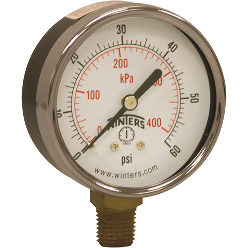 Economy Pressure Gauge, 2-1/2" , 0 - 60 psi, Bottom Mount, Analogue Cintas