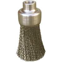 Brosses plates, rondes ou Roto Cintas
