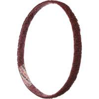Scotch-Brite Surface Conditioning File Belts Cintas
