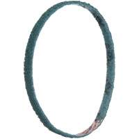 Scotch-Brite Surface Conditioning File Belts Cintas