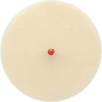 Disque Scotch-Brite 7502 pour retrait de colle et de bandes de moulage, 6" dia. Cintas