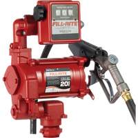 Pompes &agrave; palettes, rotatives & utilitaires, c.a., 115 V, 20 gal./min Cintas