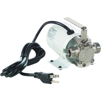Non-Submersible, Self-Priming Plated Brass Transfer Pumps - Pump Only, 115 V, 360 GPH, 1/10 HP Cintas