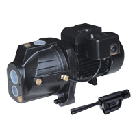 Dual Voltage Cast Iron Convertible Jet Pump, 230 V, 920 GPH, 1 HP Cintas