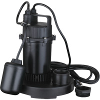 Thermoplastic Submersible Sump Pump, 2560 GPH, 115 V, 4.6 A, 1/3 HP Cintas