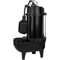 Cast Iron Effluent Pump, 4800 GPH, 120 V, 7.8 A, 1/2 HP Cintas