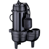 Cast Iron Sewage Pump, 120 V, 9.5 A, 6000 GPH, 1/2 HP Cintas