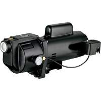 Dual Voltage Cast Iron Shallow Well Jet Pump, 115 V/230 V, 1260 GPH, 1 HP Cintas