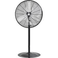 Ventilateur oscillant sur socle, Robuste, 2 Vitesses, Diam&egrave;tre de 30" Cintas
