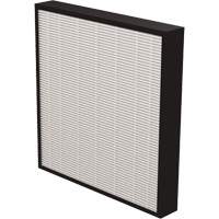 AeraMax&reg; Pro AM3 & AM4 2" True HEPA Filter, Box, 13.75" W x 2.25" D x 14.38" H Cintas