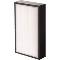 AeraMax&reg; Pro AM2 1-3/4" True HEPA Filter, Box, 7.38" W x 1.88" D x 12.88" H Cintas