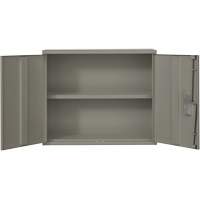 Armoire murale, Acier, 2 Tablettes, 30" h x 36" la x 12" P, Gris Cintas