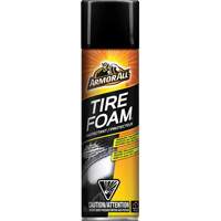 Tire Foam&reg; Protectant Cintas