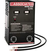 Powerful Performance Parallel Battery Charger Cintas