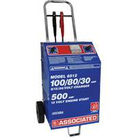 International Fleet & Commercial 220V Fast Battery Charger Cintas
