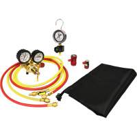 Automotive A/C Nitrogen Leak Test Kit with Regulator Cintas
