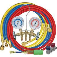 Manifold Gauge Set with Manual Couplers & Mini Dye Injector Cintas