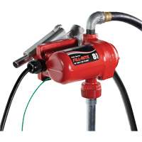 12V DC Fuel Transfer Pump with Nozzle Cintas