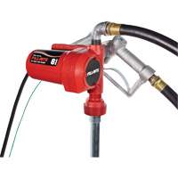12V DC Fuel Transfer Pump with Nozzle Cintas