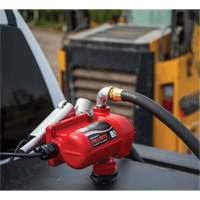 12V DC Fuel Transfer Pump with Nozzle Cintas