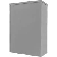 Armoire de rangement &agrave; hauteur de comptoir, Acier, 2 Tablettes, 42" h x 30" la x 15" P, Gris Cintas