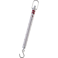 Medio Spring Scale Cintas