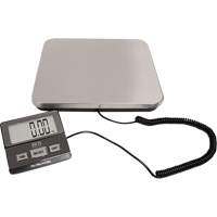 Digital Receiving Scale, 220 lbs. Cap., 1 lbs. Graduations Cintas